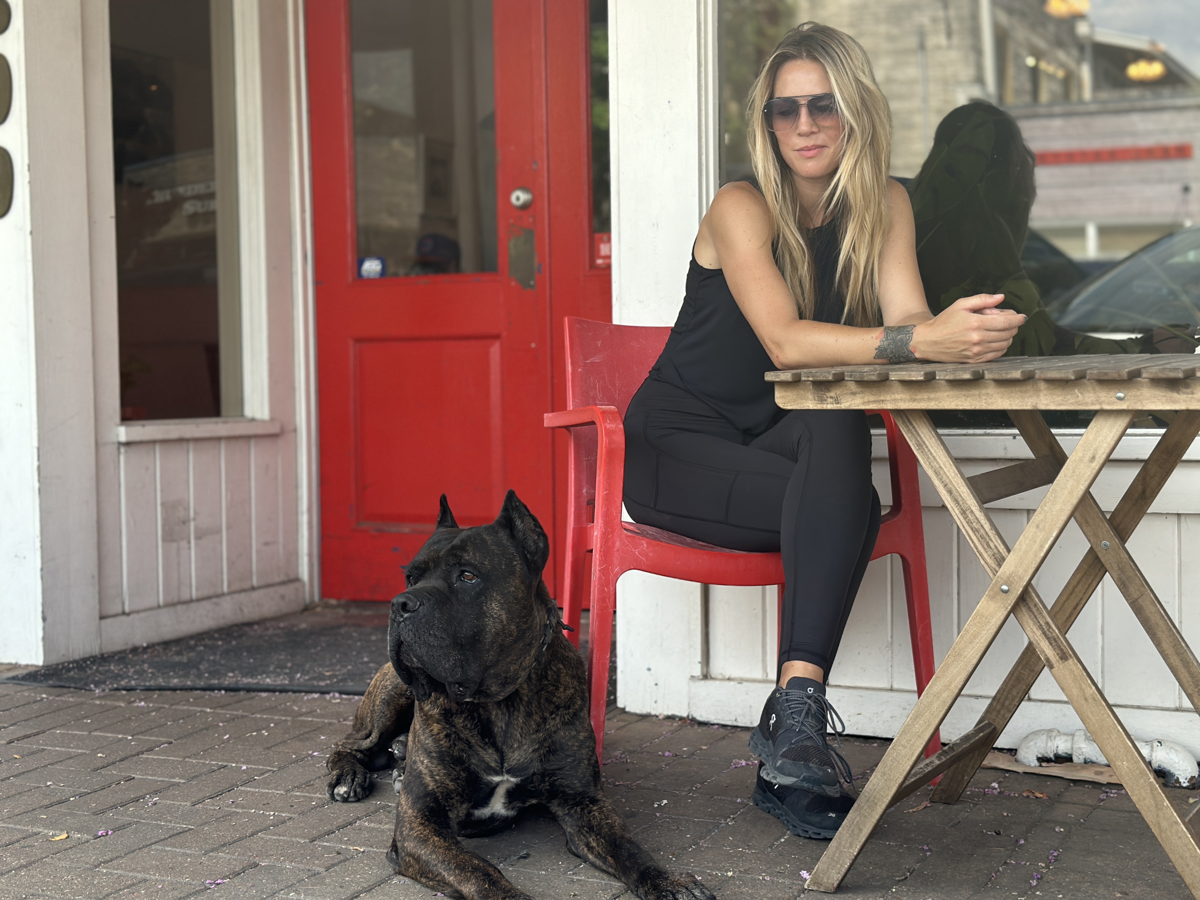 Professional dog training session with multiple dogs and owners at All Dogs Training Co Houston facility