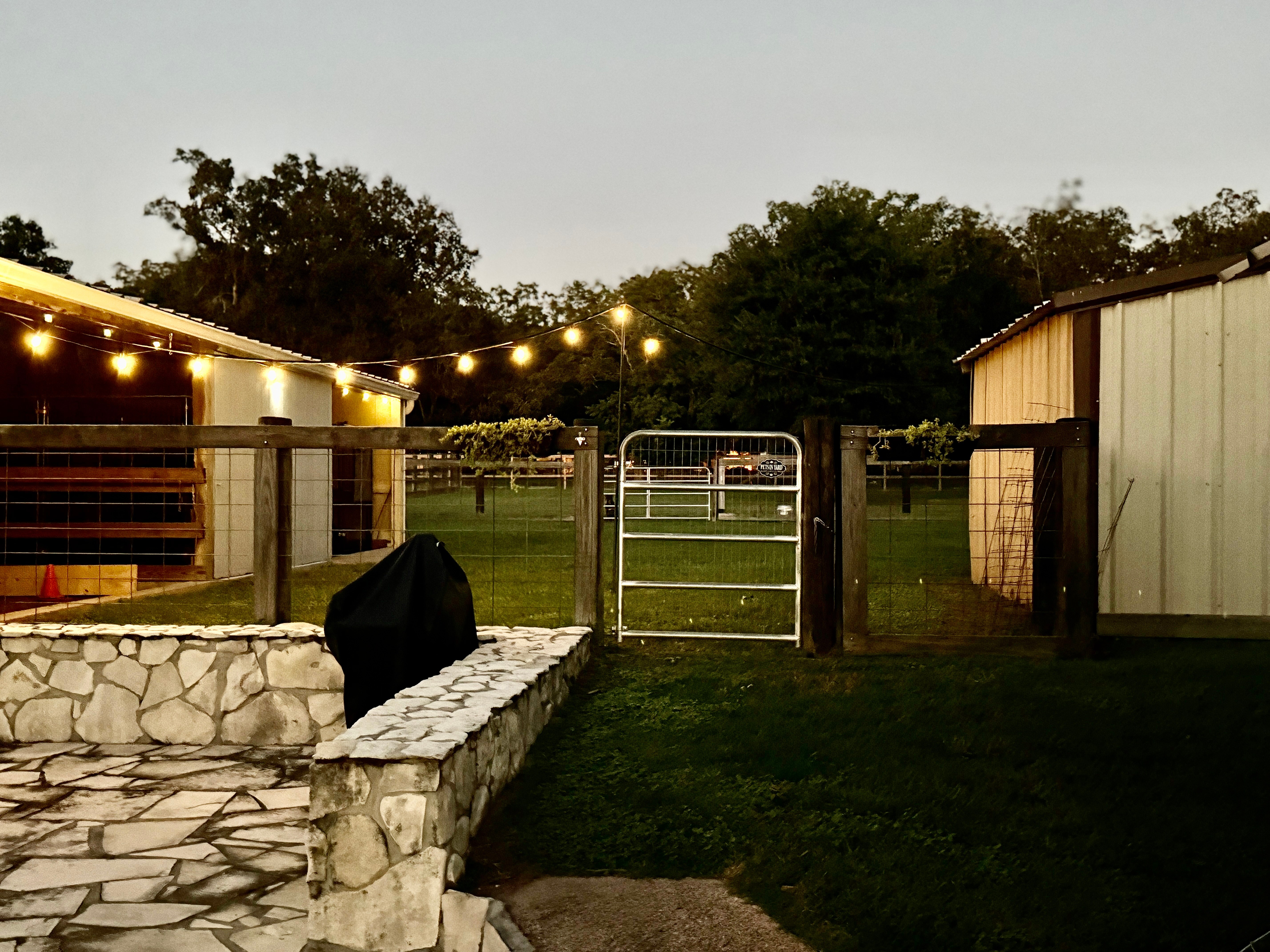 Training area gates and fencing for dog safety