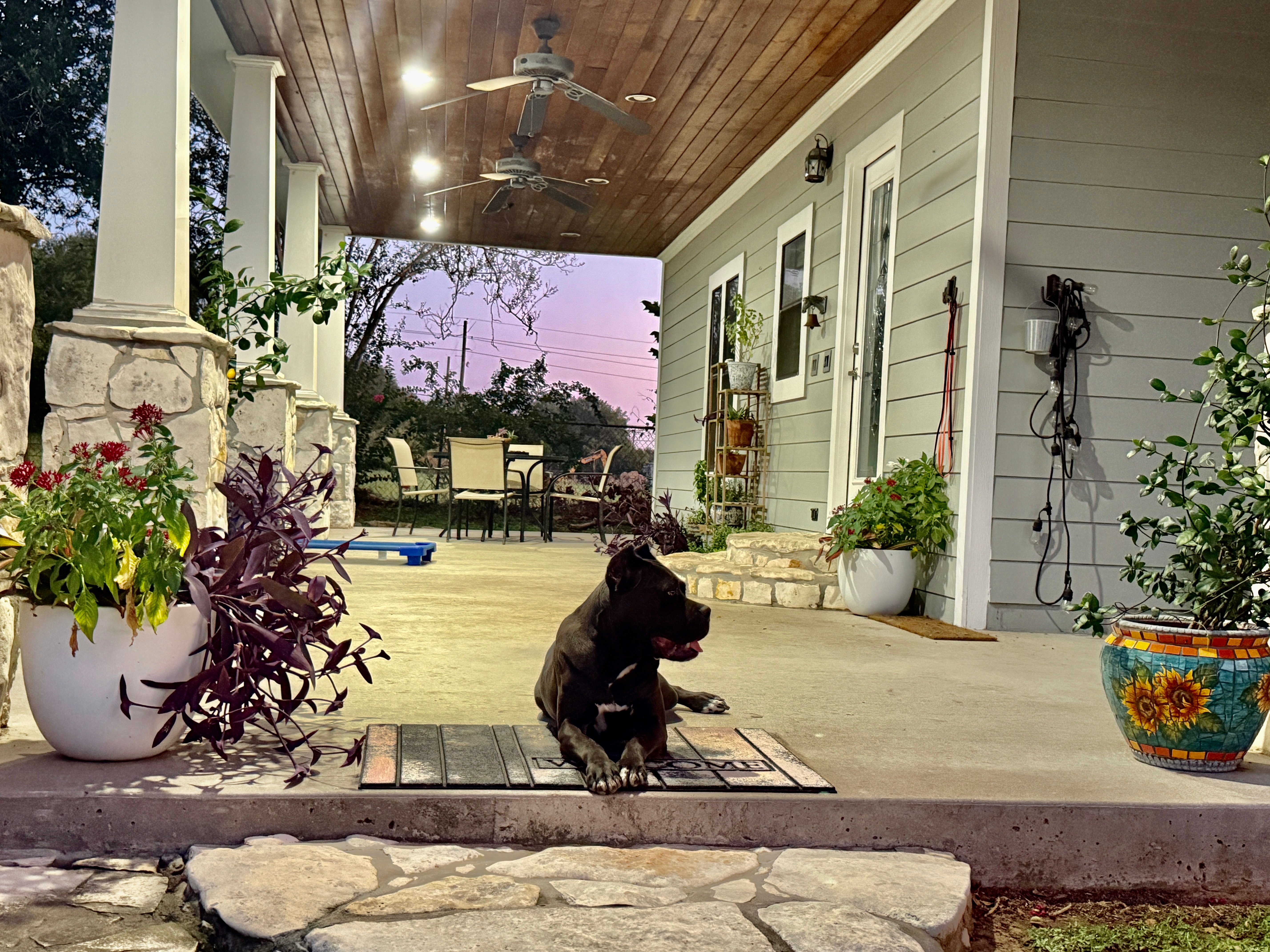 Comfortable waiting area for dog owners